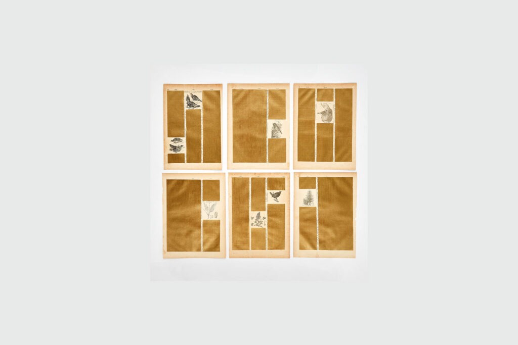 Michelle Rosset participa da exposição coletiva Espaçotempo